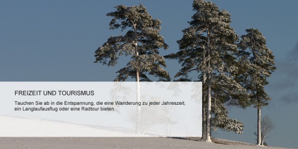 Slide3