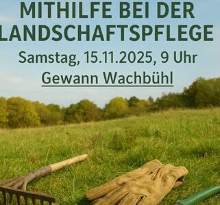 Einladung zur Mithilfe bei der Landschaftspflege im Gewann Wachbühl in Delkhofen
